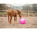 Groer Pferdespielball