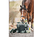 Hufauskratzer Horse