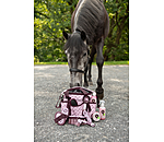 Kinder-Putztasche Champion