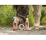 Glitzer-Schweifspray Champion