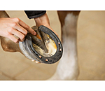 Strahl- & Hufsohlenpaste