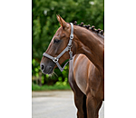 Halfter Superg�nstig ll&nbsp;