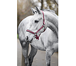 Halfter Superg�nstig ll&nbsp;