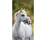 Fohlen- & Shetty-Teddyfleece-Halfter Cozy Adjustable