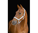 Anatomical Relaxation