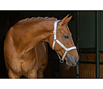 Anatomical Relaxation