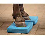 Balance Pad