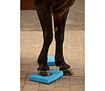Balance Pad