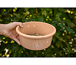 Müslischale Eco
