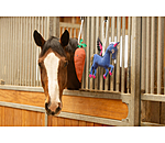 Pferdespielzeug Carrot