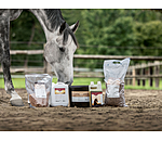 Lein�l f�r Pferde