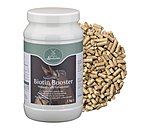 Biotin Booster