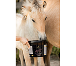 Mineralfutter Junior Premium