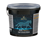 ECS-san Premium