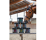 Mineralfutter Zucht Premium