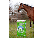 Heu TopHay