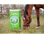 Heu TopHay
