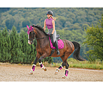 Teddyfleece-Dressurgamaschen Essential, Vorderbeine
