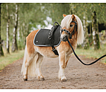 Leder-Kappzaum Soft & Light