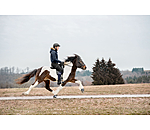 Kapuzen-Winter-Reitjacke Elgur