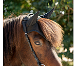 Fliegenhaube Mesh