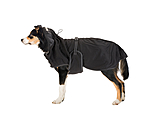Mesh-Hundemantel