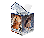 Adventskalender mit 10.- Gutschein oder hher