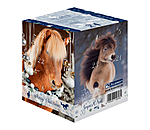 Adventskalender mit 10.- Gutschein oder hher