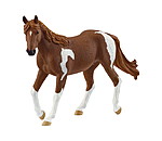 Paint Horse Stute