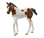 Paint Horse Fohlen
