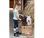 Hobby Horse Stall