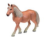 Play series Haflinger