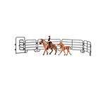 Play series Haflinger-Set