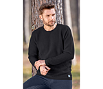Herren-Strickpullover Owen