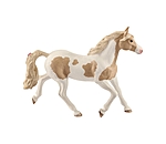 Paint Horse Stute