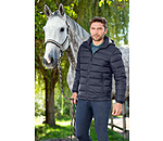 Herren-Steppjacke Nevada