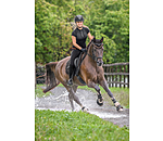 Grip-Reitleggings Ceramic Rehab