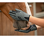 Handschuh Laki