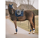 Outfit Sophistication Regular  in navy