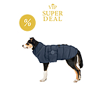sugar dog LED-Hunde-Steppjacke Arlo, 300 g