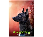 Geschenkgutschein zum Ausdrucken