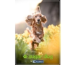 Geschenkgutschein zum Ausdrucken