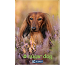 Geschenkgutschein zum Ausdrucken