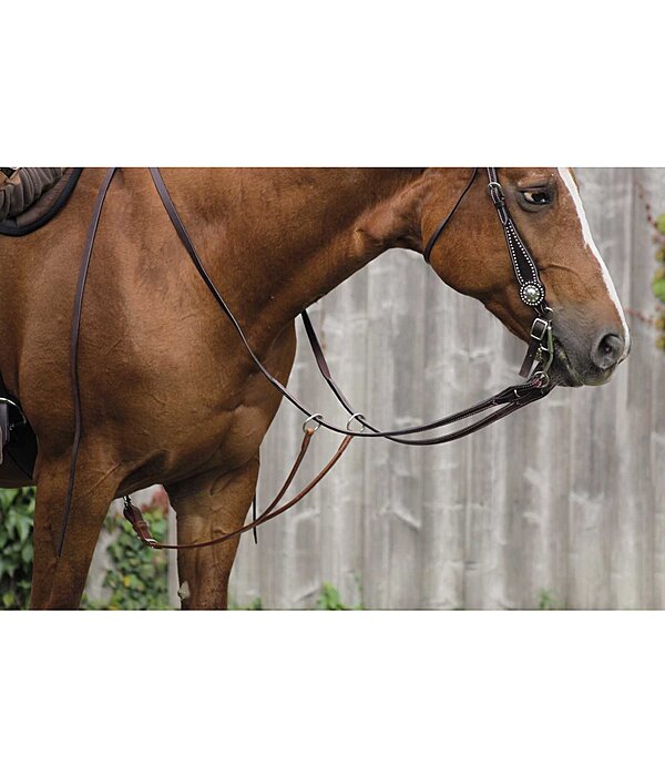 Western-Martingal
