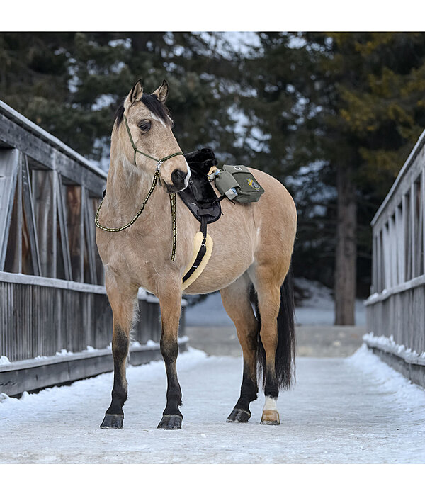 Baumwollzgel Trail Riding