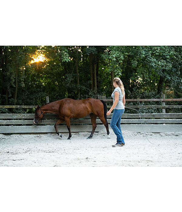 Horsemanship Stick Profi