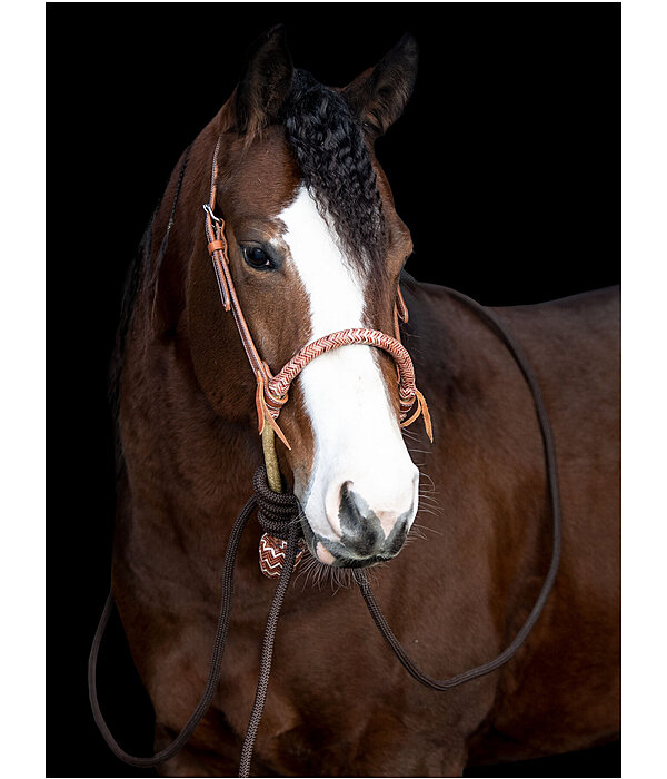 Bosal-Set Nash