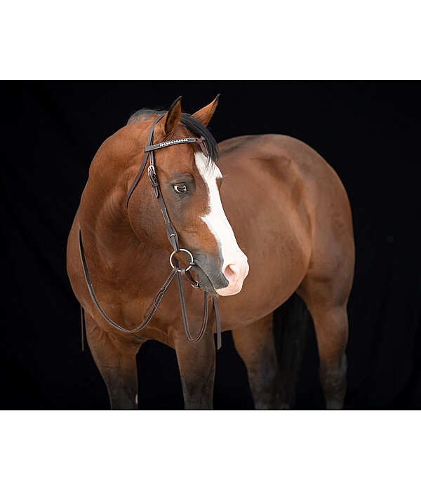 Mix & Match Futurity Knot Browband Crystal