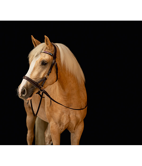 Mix & Match Futurity Knot Browband Crystal