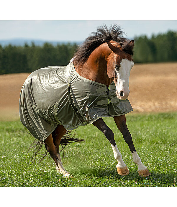 Fliegendecke Breeze